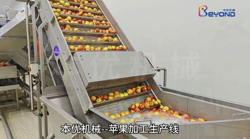本優(yōu)機(jī)械蘋果加工生產(chǎn)線